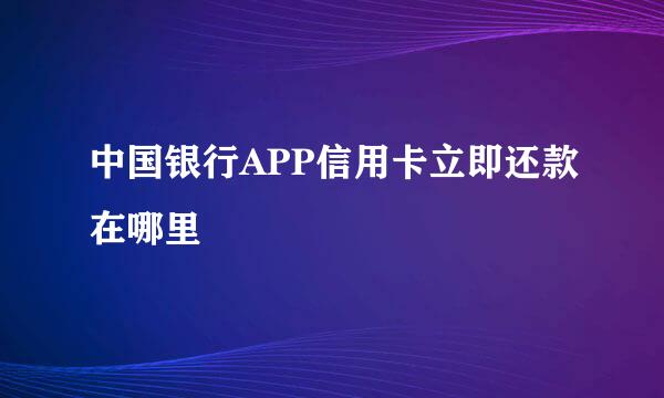 中国银行APP信用卡立即还款在哪里