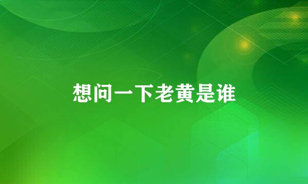 想问一下老黄是谁