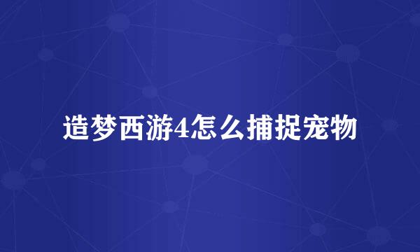 造梦西游4怎么捕捉宠物