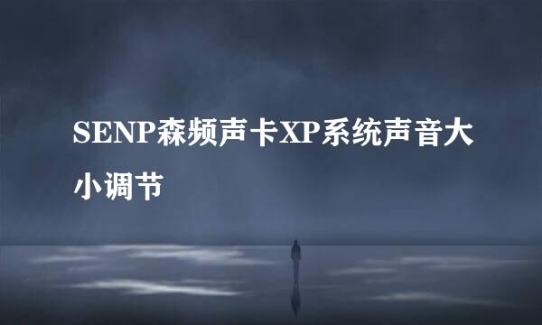 SENP森频声卡XP系统声音大小调节