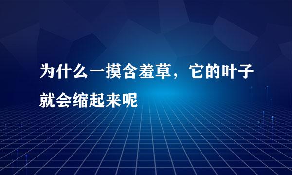 为什么一摸含羞草，它的叶子就会缩起来呢