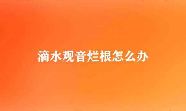 滴水观音烂根怎么办