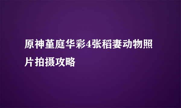 原神堇庭华彩4张稻妻动物照片拍摄攻略