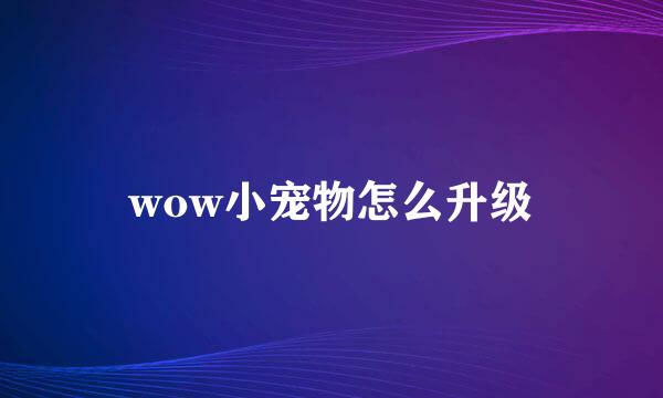 wow小宠物怎么升级