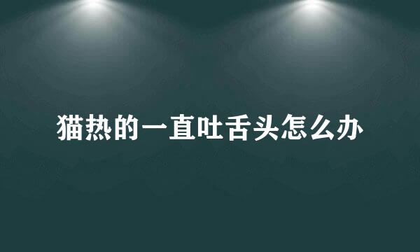 猫热的一直吐舌头怎么办