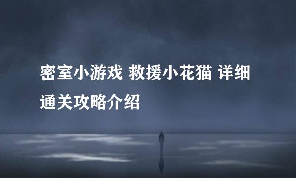 密室小游戏 救援小花猫 详细通关攻略介绍