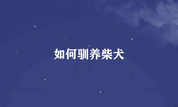 如何驯养柴犬