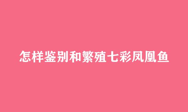 怎样鉴别和繁殖七彩凤凰鱼