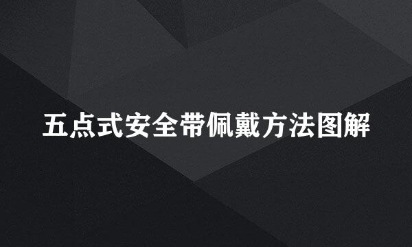 五点式安全带佩戴方法图解