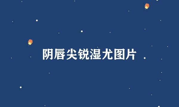 阴唇尖锐湿尤图片