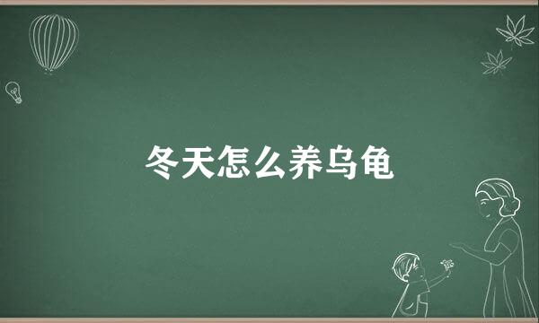 冬天怎么养乌龟