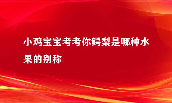 小鸡宝宝考考你鳄梨是哪种水果的别称