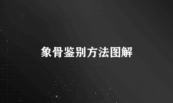 象骨鉴别方法图解