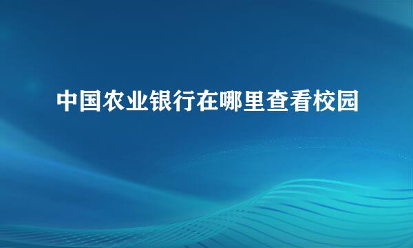 中国农业银行在哪里查看校园