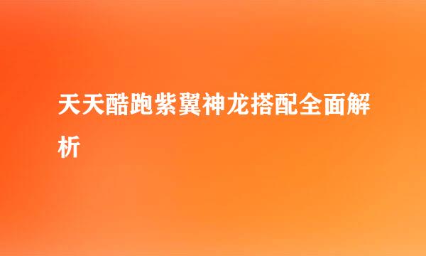 天天酷跑紫翼神龙搭配全面解析