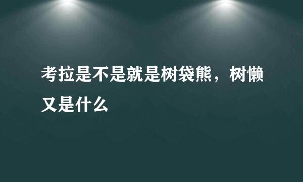 考拉是不是就是树袋熊，树懒又是什么