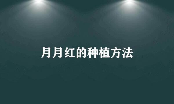 月月红的种植方法