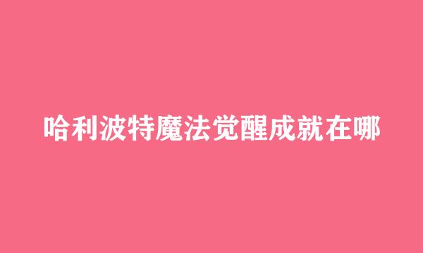哈利波特魔法觉醒成就在哪