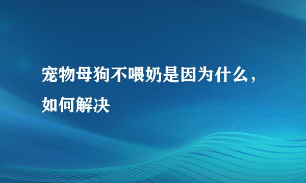 宠物母狗不喂奶是因为什么，如何解决