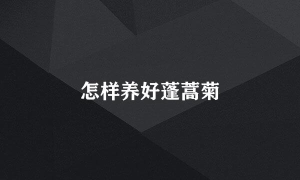 怎样养好蓬蒿菊