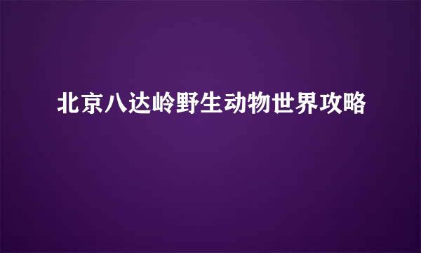 北京八达岭野生动物世界攻略