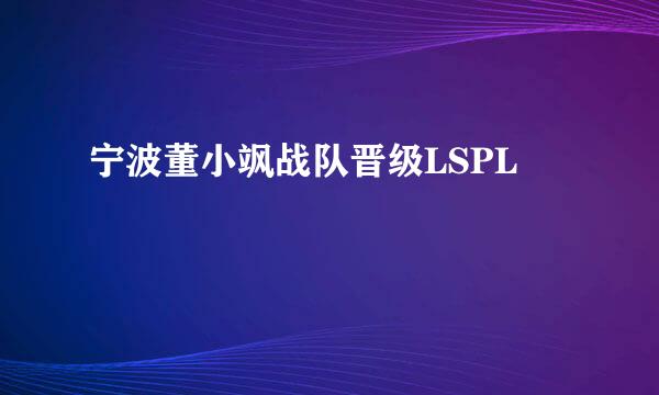 宁波董小飒战队晋级LSPL