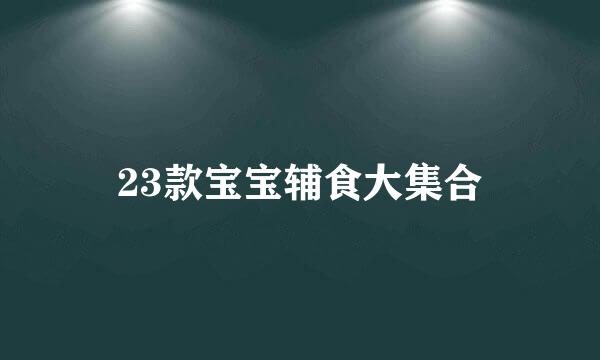 23款宝宝辅食大集合