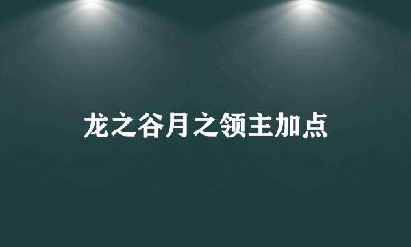龙之谷月之领主加点