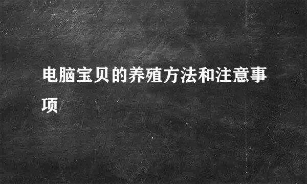 电脑宝贝的养殖方法和注意事项