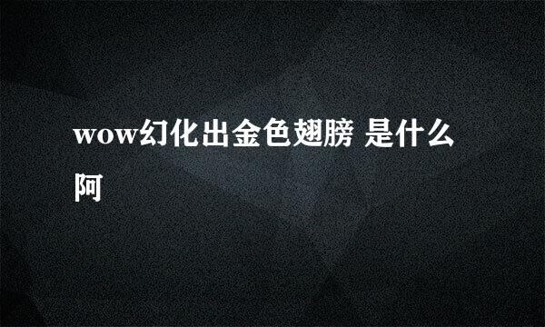wow幻化出金色翅膀 是什么阿
