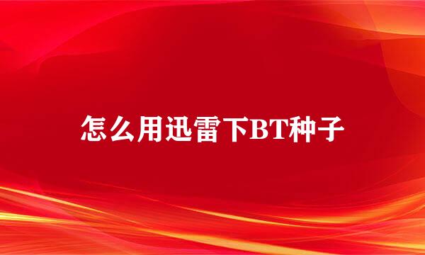 怎么用迅雷下BT种子