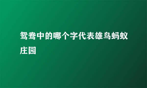 鸳鸯中的哪个字代表雄鸟蚂蚁庄园