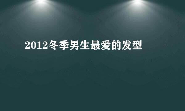 2012冬季男生最爱的发型