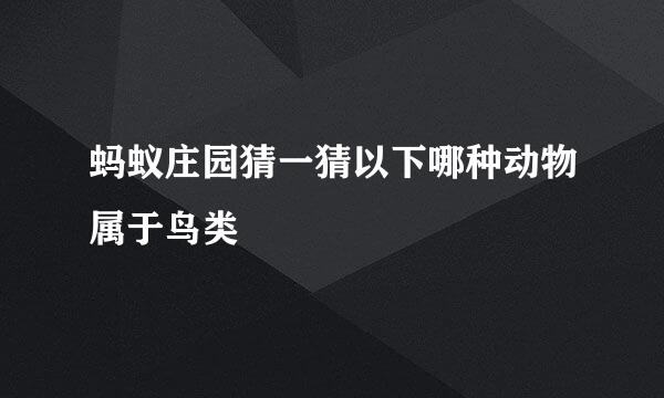 蚂蚁庄园猜一猜以下哪种动物属于鸟类