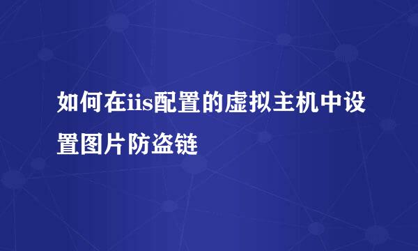 如何在iis配置的虚拟主机中设置图片防盗链
