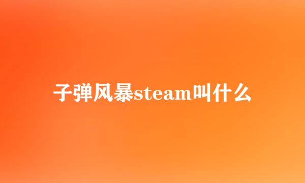 子弹风暴steam叫什么