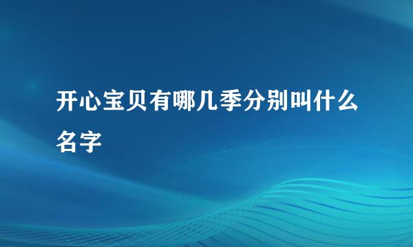 开心宝贝有哪几季分别叫什么名字