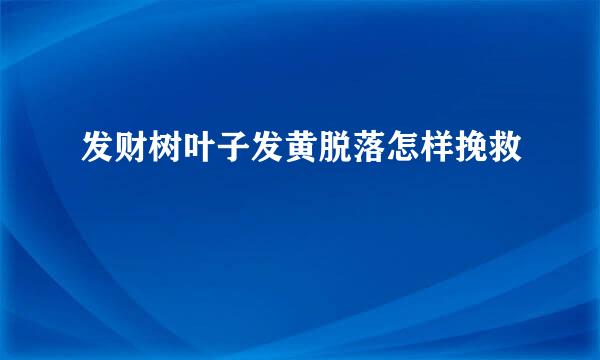 发财树叶子发黄脱落怎样挽救