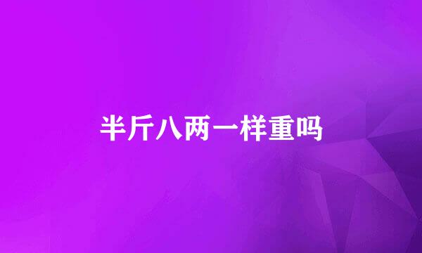 半斤八两一样重吗