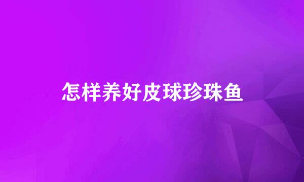 怎样养好皮球珍珠鱼