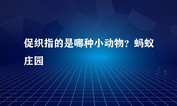 促织指的是哪种小动物？蚂蚁庄园