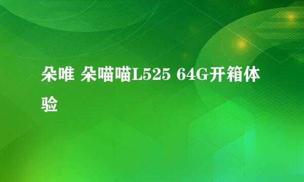 朵唯 朵喵喵L525 64G开箱体验