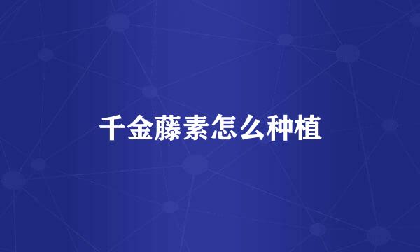 千金藤素怎么种植