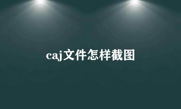 caj文件怎样截图