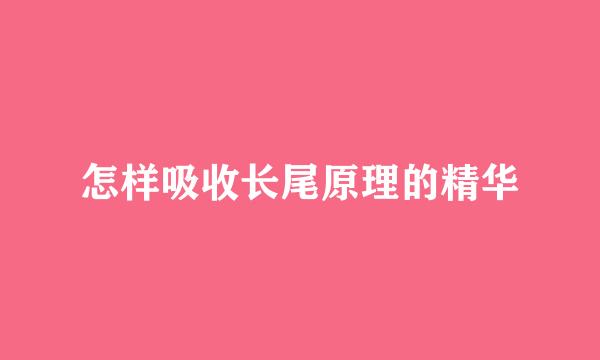 怎样吸收长尾原理的精华