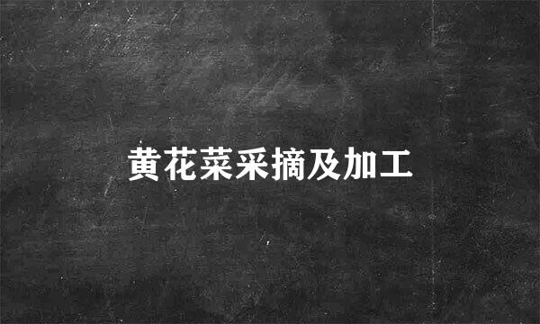 黄花菜采摘及加工