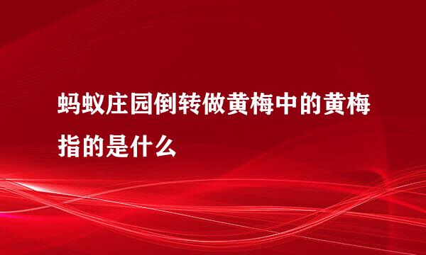 蚂蚁庄园倒转做黄梅中的黄梅指的是什么