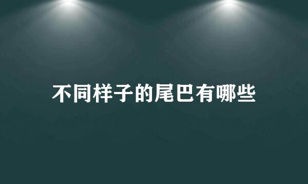 不同样子的尾巴有哪些