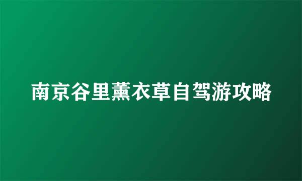 南京谷里薰衣草自驾游攻略