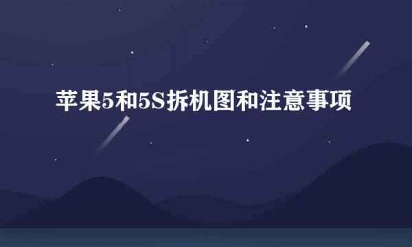 苹果5和5S拆机图和注意事项